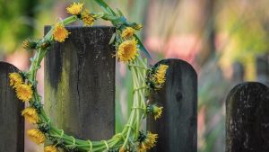 Свята Трійця: як відзначити свято та що суворо заборонено робити