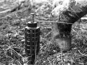 Підірвався на розтяжці майстер лісу: гірка втрати у сім’ї лісівників Донеччини