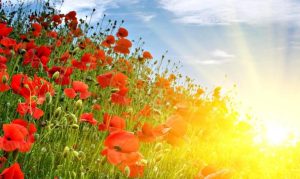 День Святого Духа 2023: 5 головних заборон сьогодні