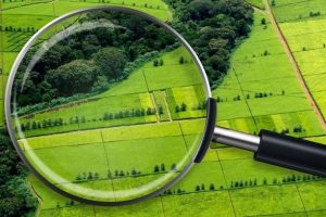 На Донеччині уклали 70 договорів купівлі-продажу землі з початку повномасштабної війни