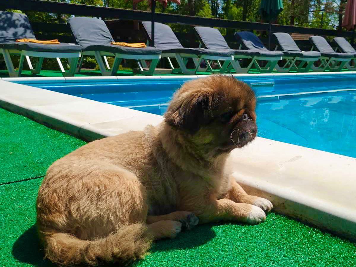 photo 2023 06 09 13 12 30 2