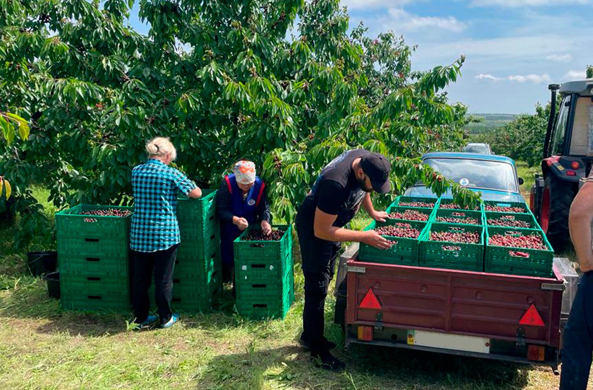 photo 2023 06 14 19 40 35 2