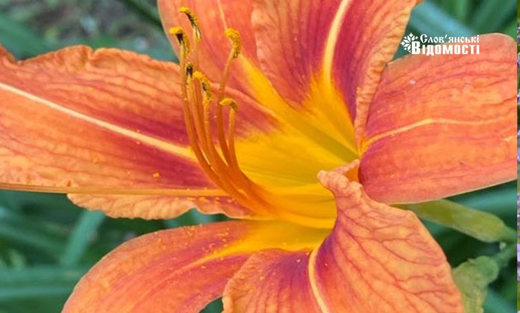 photo 2023 06 26 13 54 18 4