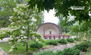 Прогулянка по Шовковичному – настрій на цілий день (фото)