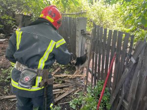 Рятувальники Донеччини врятували собаку, який застряг в паркані та не міг вибратись без сторонньої допомоги