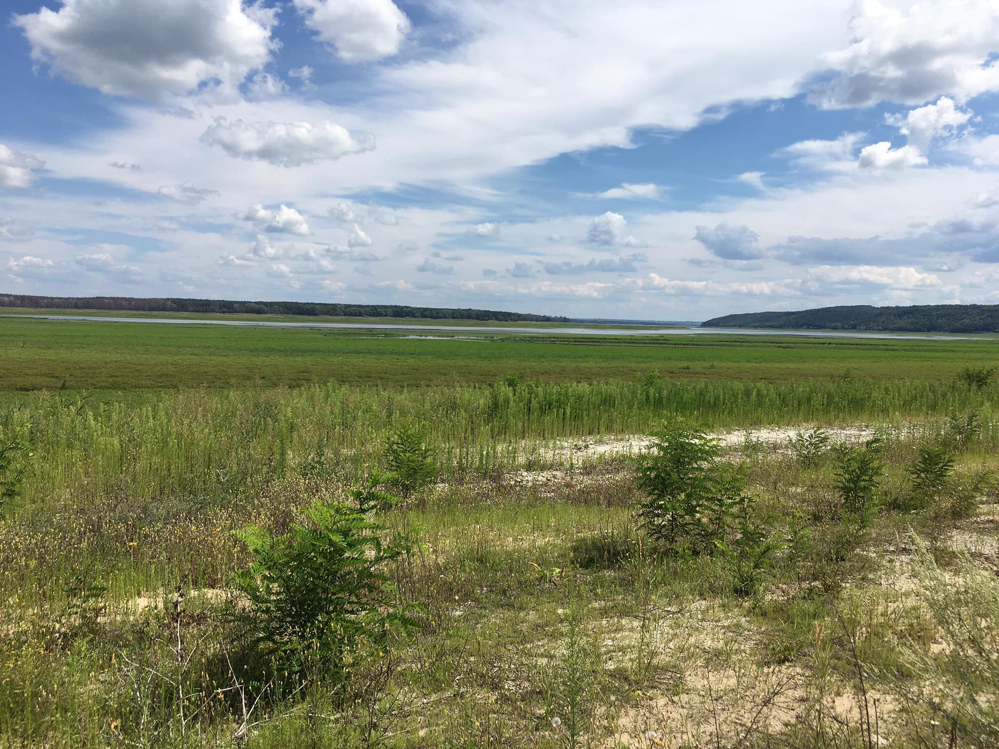 361628316 6298069156958669 1271377328666159255 n