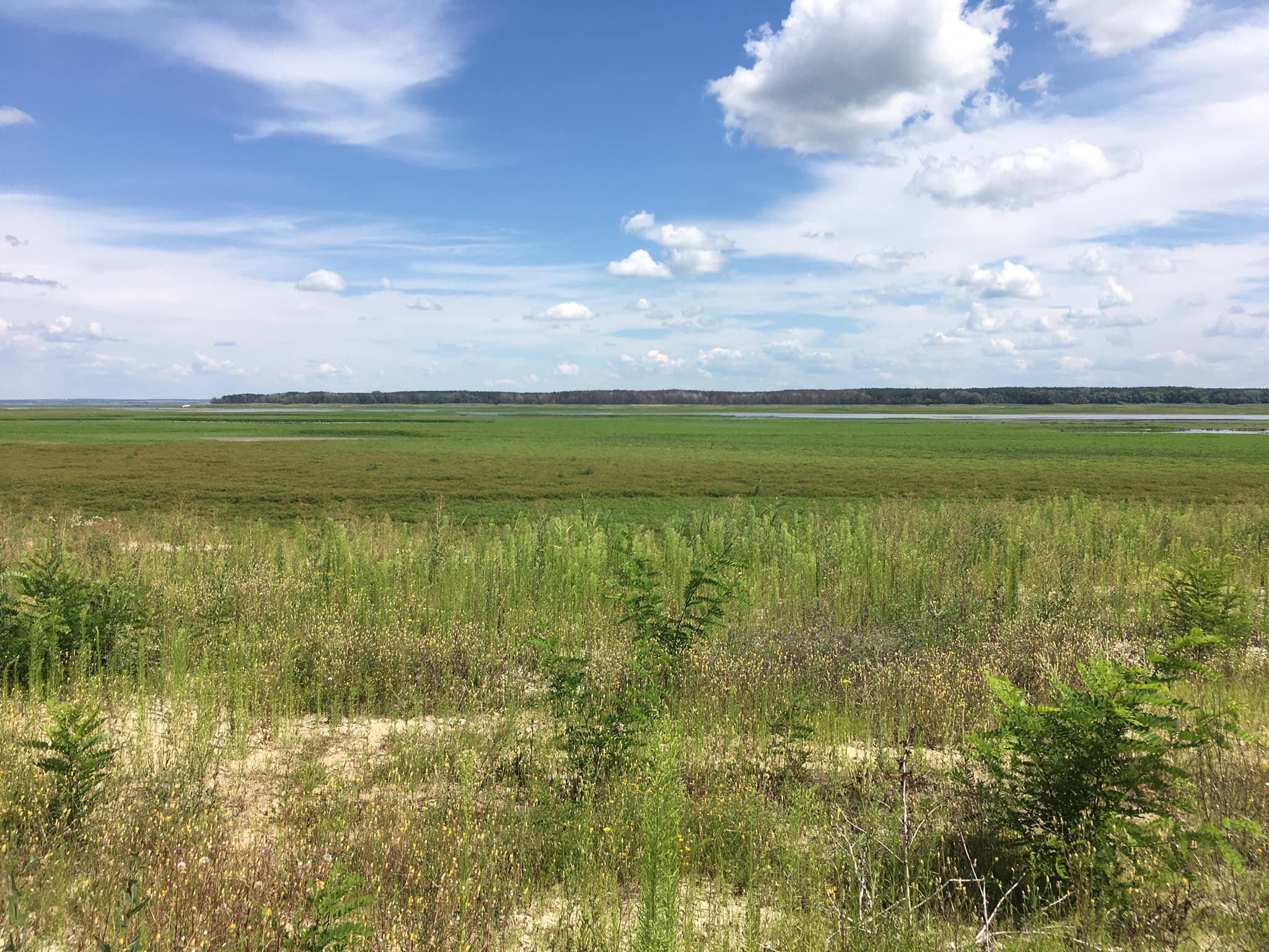 363405783 6298069073625344 4443007147495430258 n