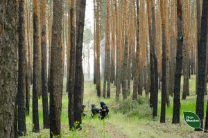 Розмінування деокупованих лісів Донеччини може тривати десятиліттями