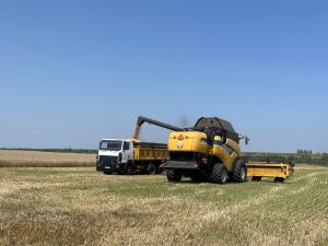 На Донеччині тривають жнива