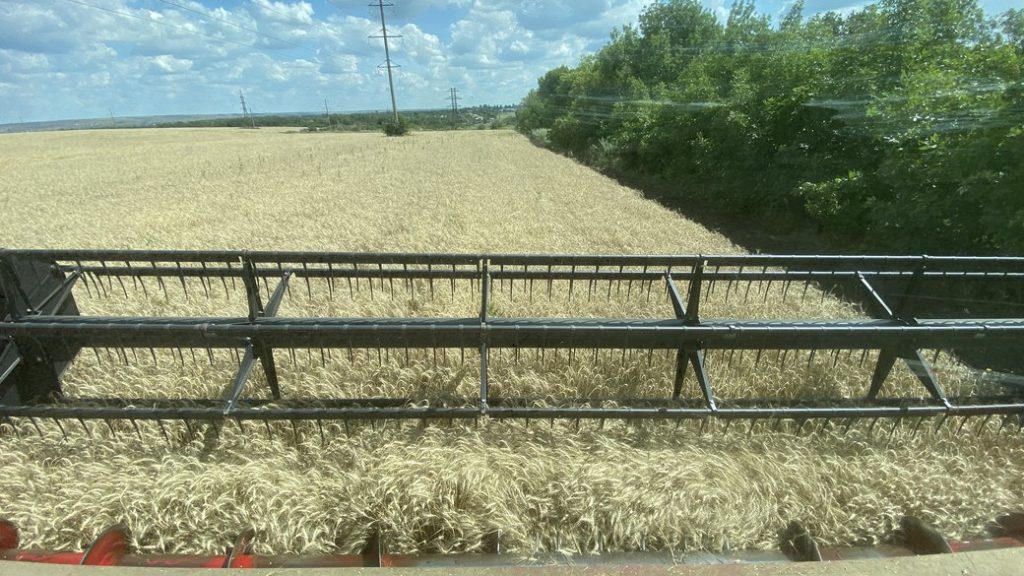 Жнива 2023 на Донеччині: нерозірвані снаряди на полях, пожежі через обстріли та ускладнений експорт врожаю