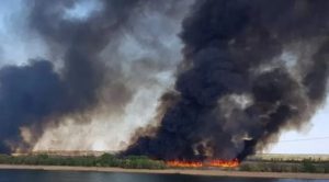 Один день війни завдає українському довкіллю збитків на €102 млн