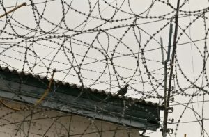 росія хоче забудувати окуповані території України колоніями та виправними установами