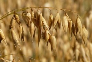 Церковне свято 17 липня: що цього дня віщує негаразди і злидні, а що принесе удачу