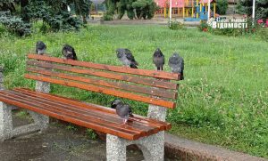 Для тих, хто не вдома: Слов’янськ після дощу (фоторепортаж)