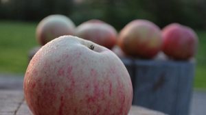 Спас 2023: коли будемо святкувати