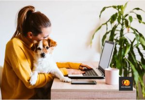 Працевлаштування під час війни: як знайти та налаштуватися на роботу переселенцям