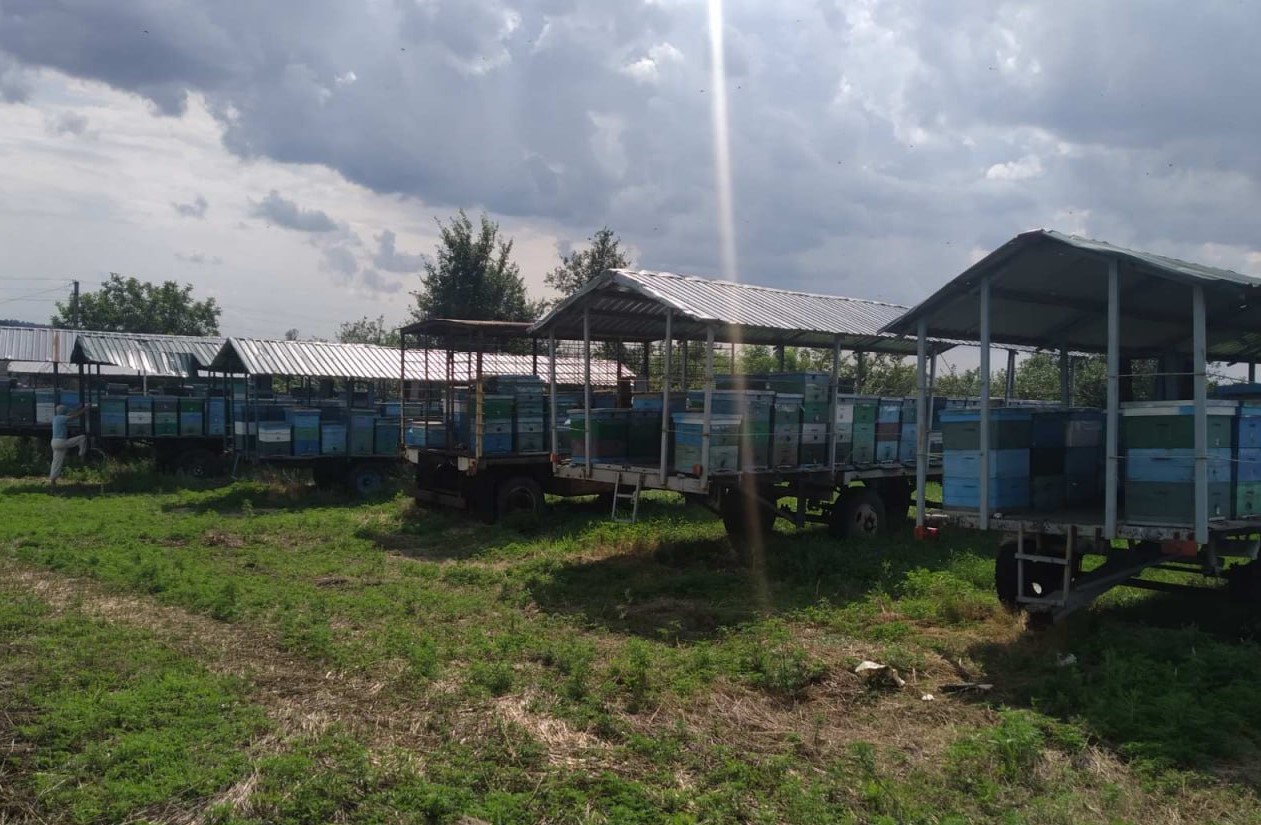 photo 2023 07 22 18 02 54