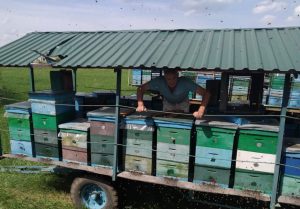 Як рятували найбільшу пасіку Лиманського району та де можна знайти якісний мед (фото)