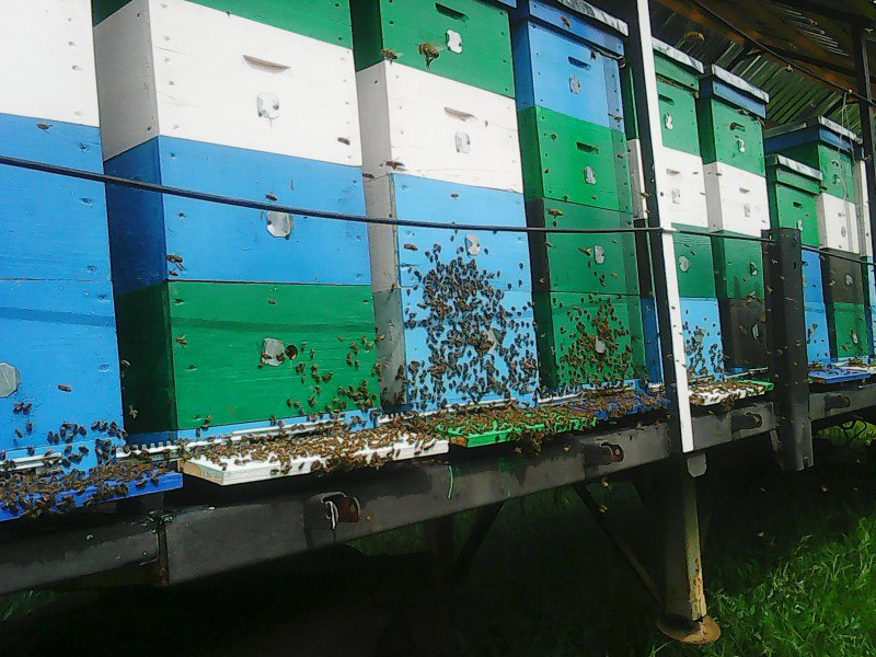 photo 2023 07 22 18 02 59 2