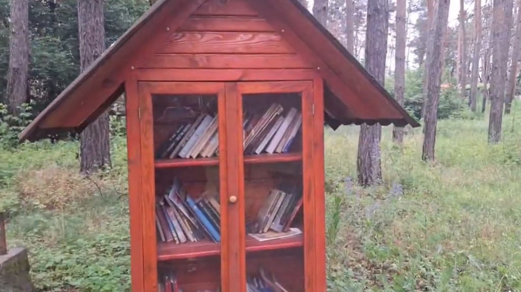 У деокупованому Святогірську продовжує роботу вулична бібліотека (відео)