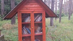 У деокупованому Святогірську продовжує роботу вулична бібліотека (відео)