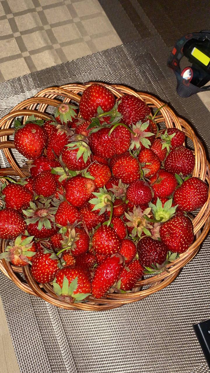 photo 2023 07 23 20 56 26 2