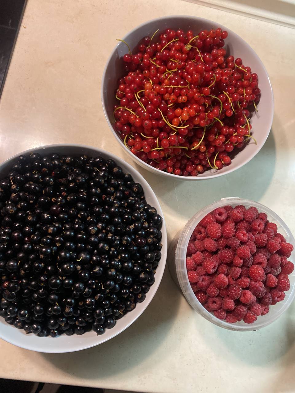 photo 2023 07 23 20 56 27