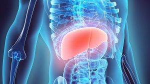 У Слов’янську можна швидко перевірити себе на вірусний гепатит