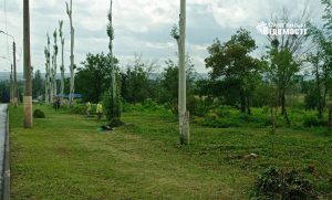 Бульвар Героїв Крут у Слов’янську сяятиме чистотою (фото)