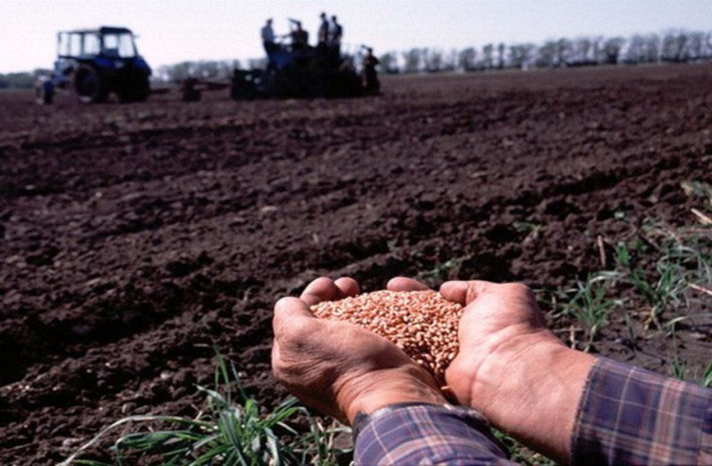 Фермери та ФОП Донеччини можуть отримати по 2 тонни насіння