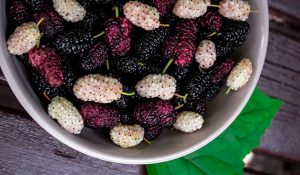Як заморозити шовковицю, щоб і взимку насолоджуватися ягодою