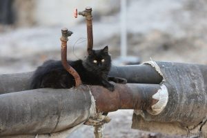 Для проходження складної зими в Україні економлять навіть воду у річках