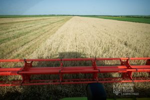Стало відомо, який урожай вже зібрали на Донеччині