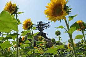 В Україні пропонують ухвалити важливий закон щодо війни