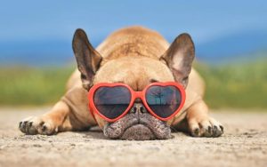 Укргідрометцентр дав невтішний прогноз на серпень 2023