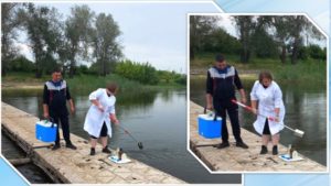 Якість води в нормі, але є певні відхилення: фахівці промоніторили водні ресурси Сходу