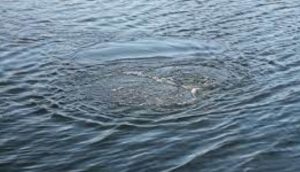 Краматорський район: в річці виявлено потопельника