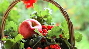 Що категорично не можна робити на Медовий спас 14 серпня