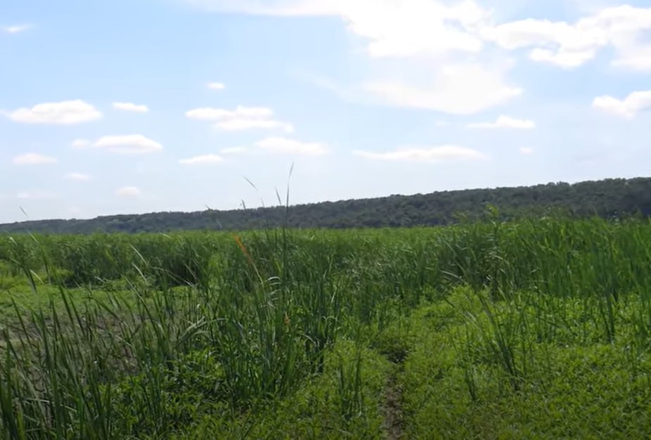 photo 2023 08 06 15 48 50