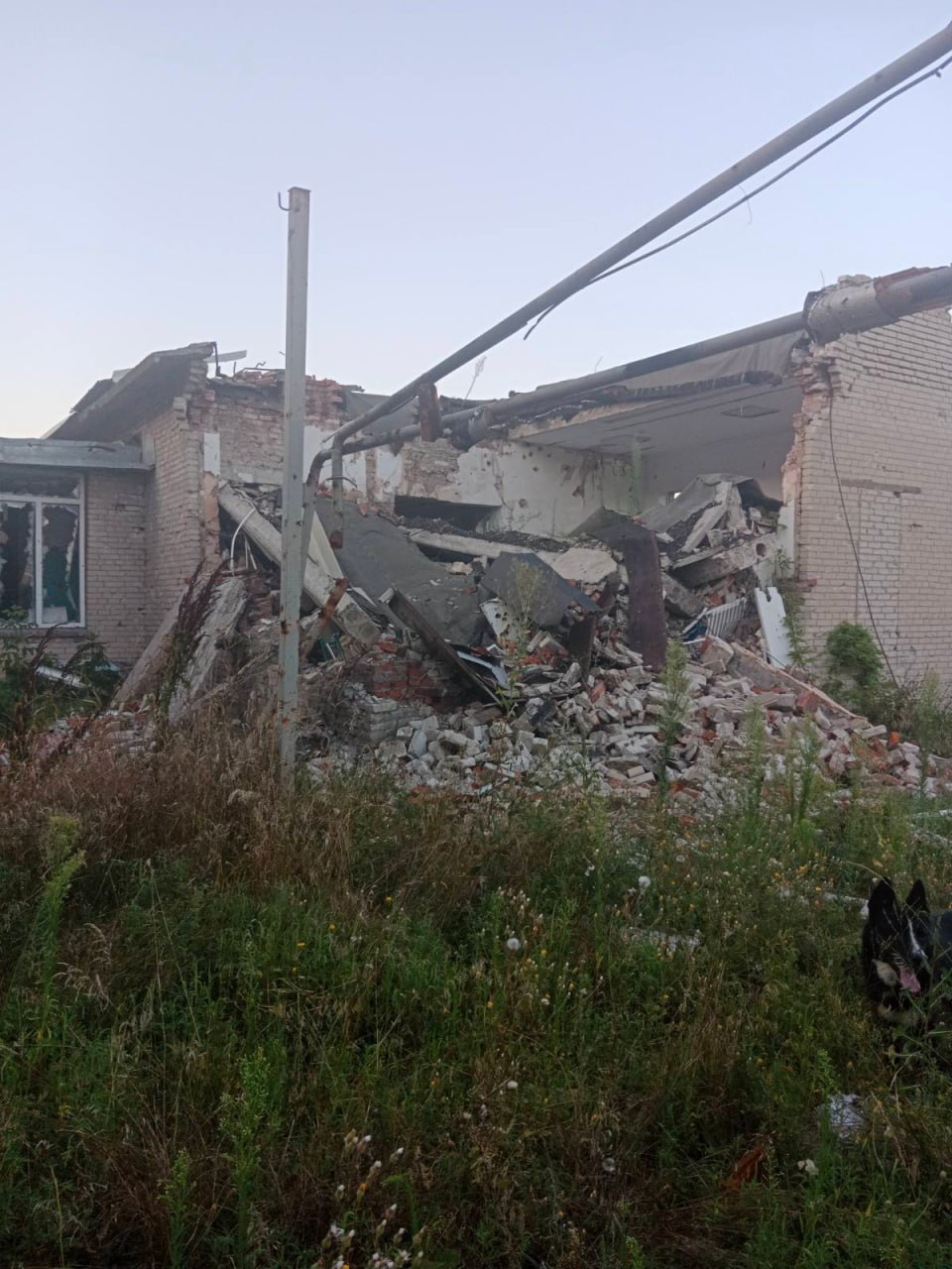 photo 2023 08 09 19 48 52