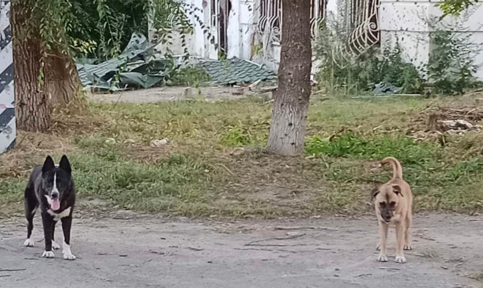 photo 2023 08 11 15 42 52 2