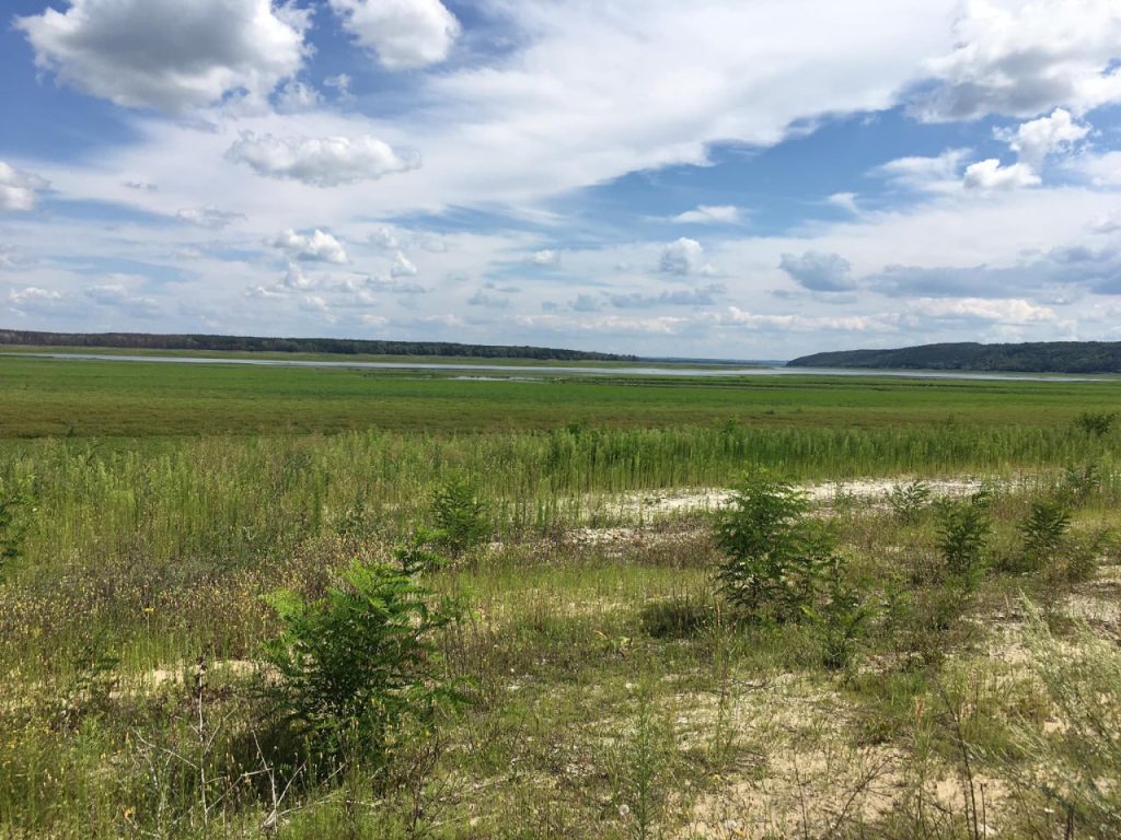 Президента просять відновити Оскільське водосховище