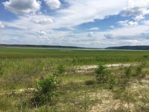 Президента просять відновити Оскільське водосховище