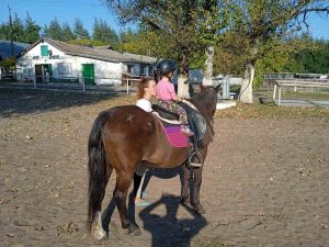 КСК «Аллюр» потребує допомоги фермерів!