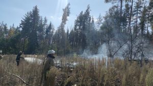 Протягом минулої доби рятувальникиДонеччини залучались до ліквідації 23 пожеж на території області