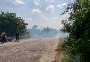 Спалювання сухостою можуть розцінюватися як диверсія: які є покарання за заподіяння шкоди лісовим масивам