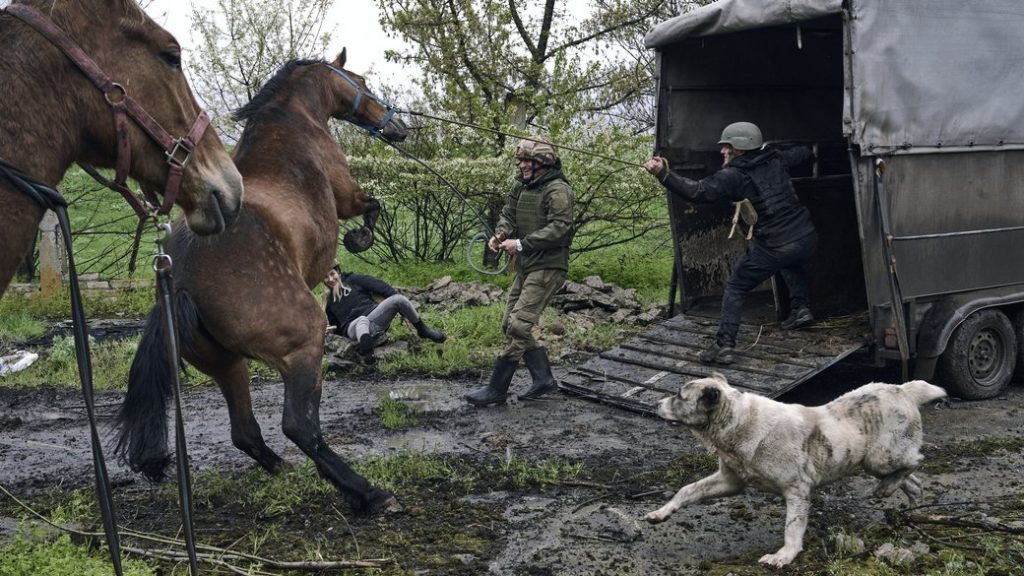 З-під Костянтинівки волонтери UAnimals евакуювали кобилу, яка прибилась до військових