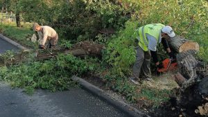 Повалені дерева, зірвані дахи та обірвані електромережі: у Краматорську комунальники ліквідовують наслідки негоди