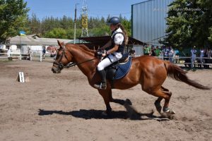 З 40 коней залишилось 5, з яких три – вивезені з-під обстрілів. Як сьогодні живе КСК «Алюр» та чим можна допомогти