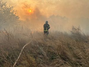 Протягом минулої доби рятувальникиДонеччини залучались до ліквідації 23 пожеж на території області